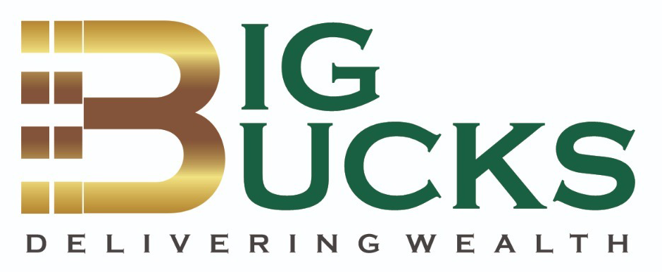 Big Bucks India Logo